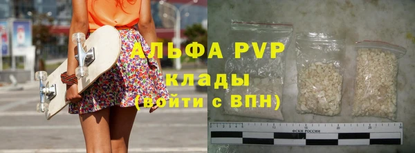 крисы Алзамай