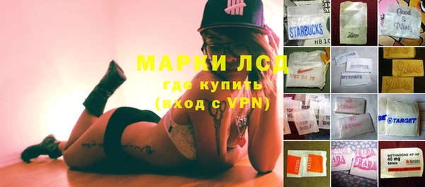 крисы Алзамай