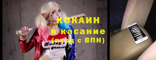 крисы Алзамай