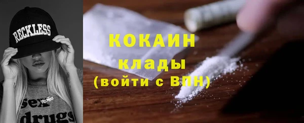 крисы Алзамай