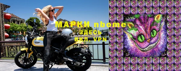 крисы Алзамай